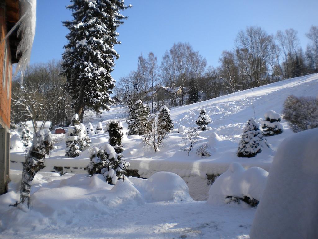 Pension Amálka Rokytnice nad Jizerou Esterno foto